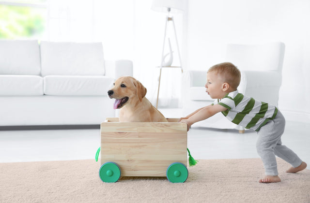 Dogs for Kids: 5 Steps to Develop That Best Friend Relationship