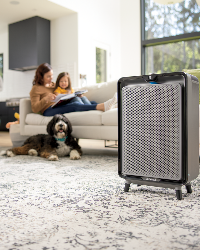 Air220 Purifier 3001F